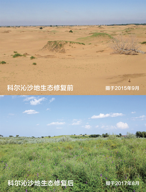 20210922/a51a3d3d218594608d1c7b94eadbd81f.jpg a51a3d3d218594608d1c7b94eadbd81f.jpg