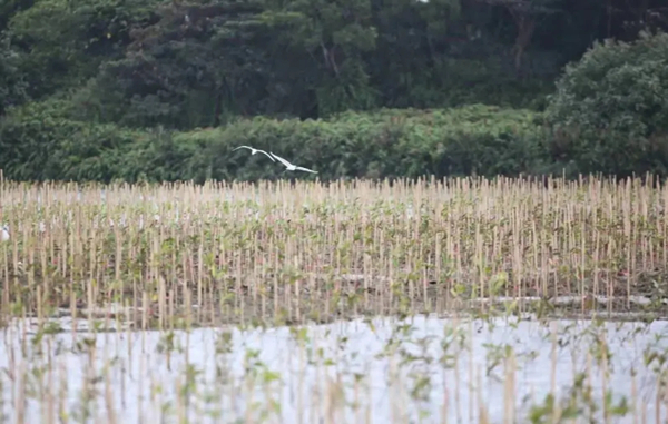 20211014/dbd5fece4fee5e42ac37682d63a7e93b.jpg dbd5fece4fee5e42ac37682d63a7e93b.jpg