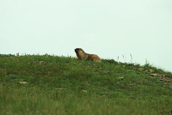 20211015/c6b5e20c81161d500a4ce278c6ad3a1b.jpg c6b5e20c81161d500a4ce278c6ad3a1b.jpg