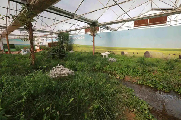 20220222/d5d2790947c01cdcbe6effe38642c0c8.jpg d5d2790947c01cdcbe6effe38642c0c8.jpg