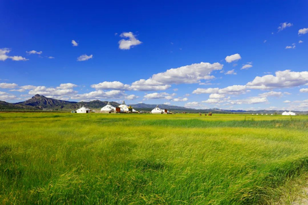 20220310/4fa5769bdf4fd50f87573fae01cae2ba.jpg 4fa5769bdf4fd50f87573fae01cae2ba.jpg