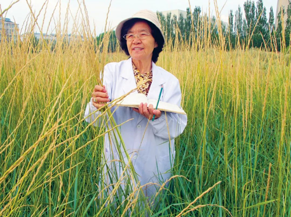 20220310/dbe86ad2d870e60790353e5121f81f06.jpg dbe86ad2d870e60790353e5121f81f06.jpg