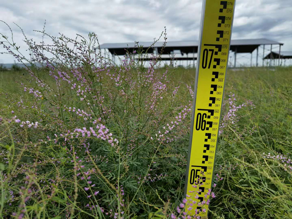 20220527/8a1ac696c2254b9b8a9e5f0ef02d2355.jpg 8a1ac696c2254b9b8a9e5f0ef02d2355.jpg