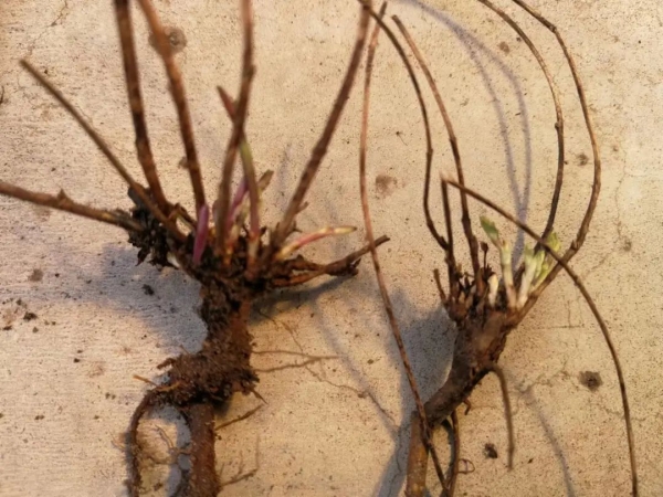 20220826/00c7400b0ee67e0d4a70c54ae2b8448c.jpg 00c7400b0ee67e0d4a70c54ae2b8448c.jpg