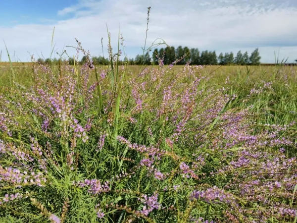 20220826/2cb1e822928d2ab6dae7364132d3307e.jpg 2cb1e822928d2ab6dae7364132d3307e.jpg