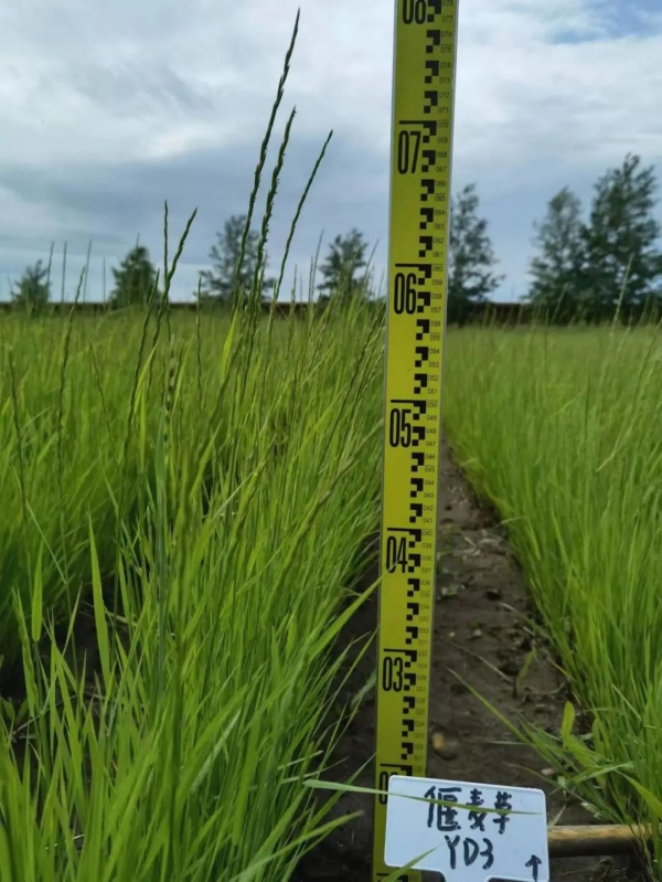 20220826/946269ea356ed32f2ab2ae6f0561aec1.jpg 946269ea356ed32f2ab2ae6f0561aec1.jpg