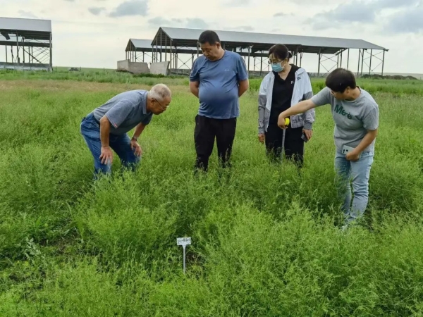 20220826/a48e94de2810e2a9a56c9676a485ccf2.jpg a48e94de2810e2a9a56c9676a485ccf2.jpg