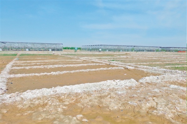 20220929/10d38d01f8af8673d4725febad5f0aaa.jpg 10d38d01f8af8673d4725febad5f0aaa.jpg