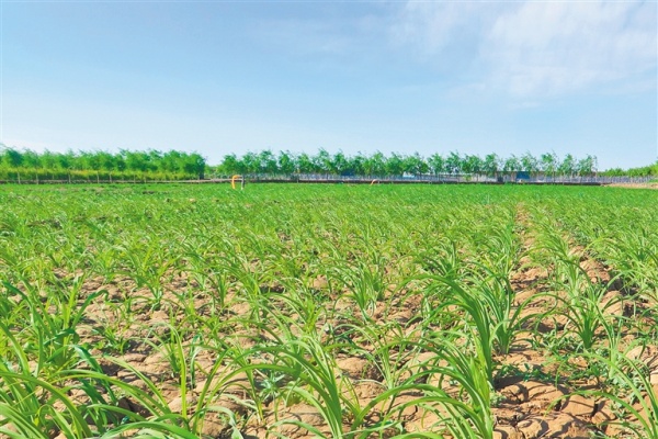 20220929/a1501abec1669f532ae07ca673d60ec2.jpg a1501abec1669f532ae07ca673d60ec2.jpg