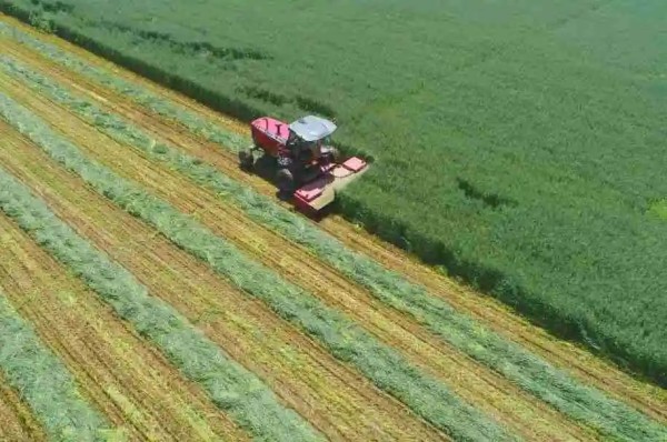 20230301/40a90a27f4af0fb5a58cae2f5b12d96c.jpg 40a90a27f4af0fb5a58cae2f5b12d96c.jpg