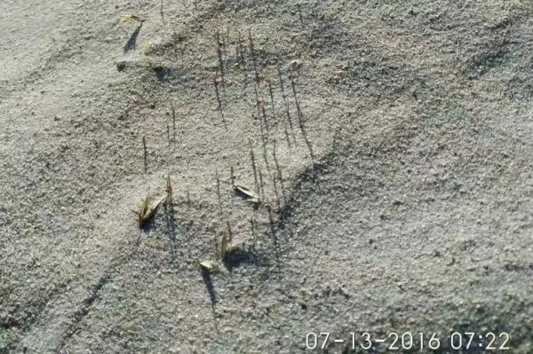 20230515/31b15be0693ce31e8f572fd552f26dda.jpg 31b15be0693ce31e8f572fd552f26dda.jpg