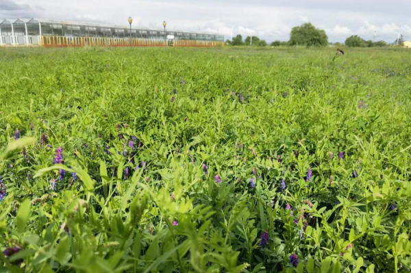 20230515/92aa51af0645d16eaf2775bb014b1282.png 92aa51af0645d16eaf2775bb014b1282.png