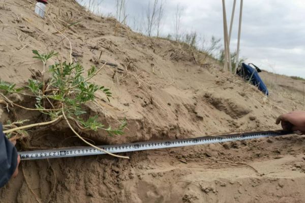 20230515/c9886dcbaf975c256d99e115cdf02dd1.png c9886dcbaf975c256d99e115cdf02dd1.png