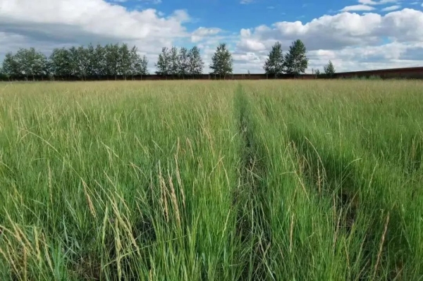 20230515/ce323db914277745cf3e5173fcf1cbad.jpg ce323db914277745cf3e5173fcf1cbad.jpg