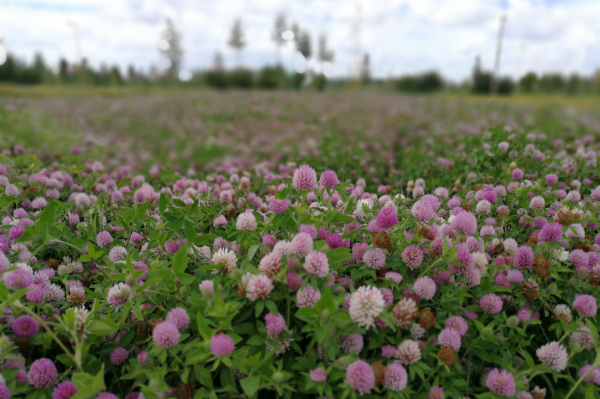 20230515/e31b4ceea7a80b7258dfc566a8fb7c09.png e31b4ceea7a80b7258dfc566a8fb7c09.png