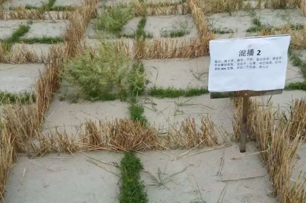 20230515/f20d78db1825a29ab151657b66997198.jpg f20d78db1825a29ab151657b66997198.jpg