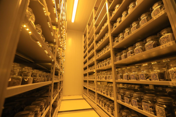 20230612/15903dc50d1da10c612bc3607b252983.png 15903dc50d1da10c612bc3607b252983.png