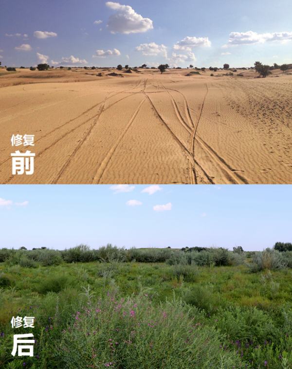 20230612/2bb3166bfe5605018185a9fd043e66c2.png 2bb3166bfe5605018185a9fd043e66c2.png