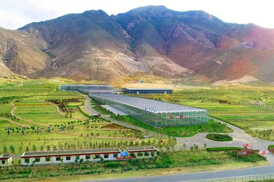 20230721/91ffbc812bbeaff8e7a70ec599ce2ac7.jpg 20230721/91ffbc812bbeaff8e7a70ec599ce2ac7.jpg