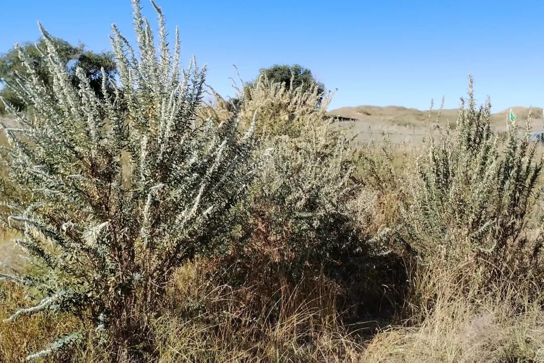 20231106/7c8264f6de8b93d66a4d518a33522948.png 20231106/7c8264f6de8b93d66a4d518a33522948.png