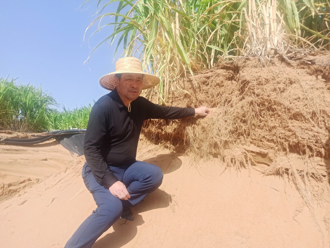 20240407/d4ca866b51b66f27fcb45abff0acacdd.jpg 20240407/d4ca866b51b66f27fcb45abff0acacdd.jpg