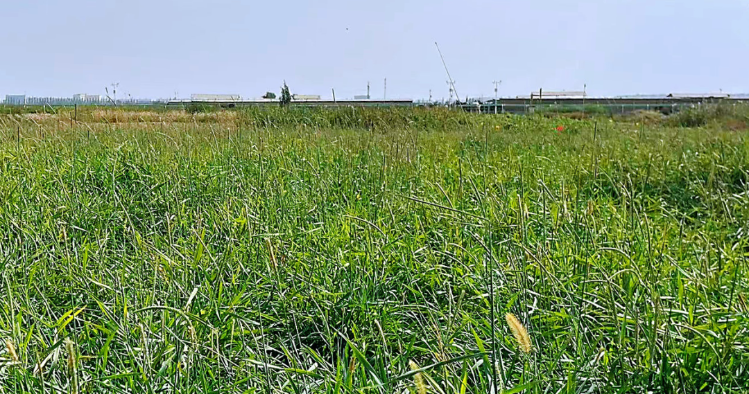 20240710/e6a1b4315b026f17e16cfd35a50c511c.png 20240710/e6a1b4315b026f17e16cfd35a50c511c.png