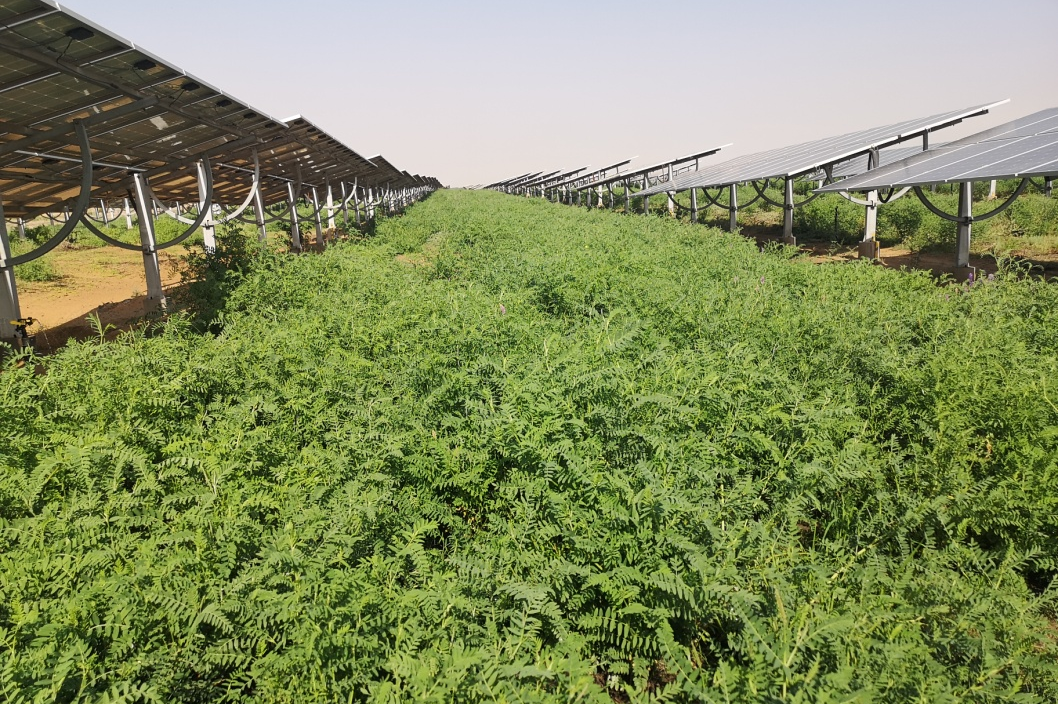 20241226/19985eb21d06990836d55a48179ea636.png 20241226/19985eb21d06990836d55a48179ea636.png