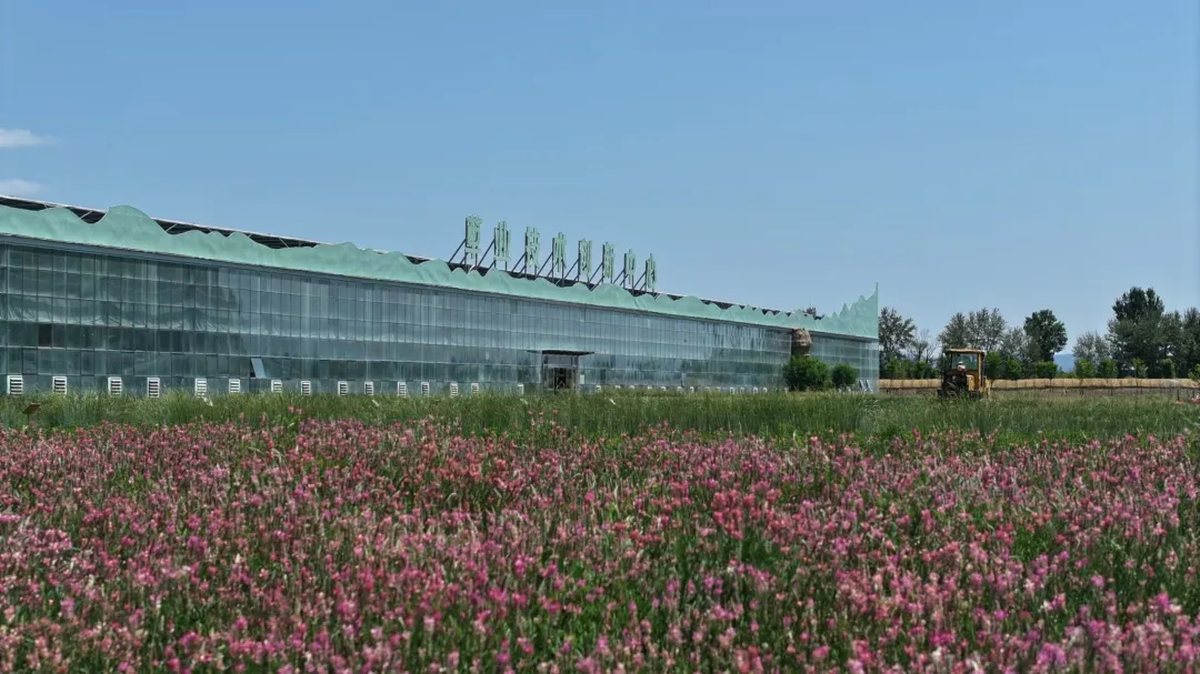 20250127/81be823f427b1cc82fdc2037bbe87913.png 20250127/81be823f427b1cc82fdc2037bbe87913.png