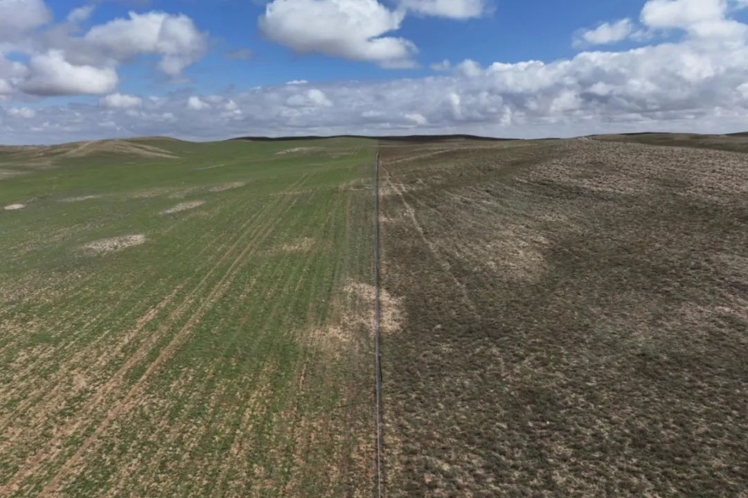 20250225/98cc3db1f8937568ab4afae136e54f08.jpg 20250225/98cc3db1f8937568ab4afae136e54f08.jpg