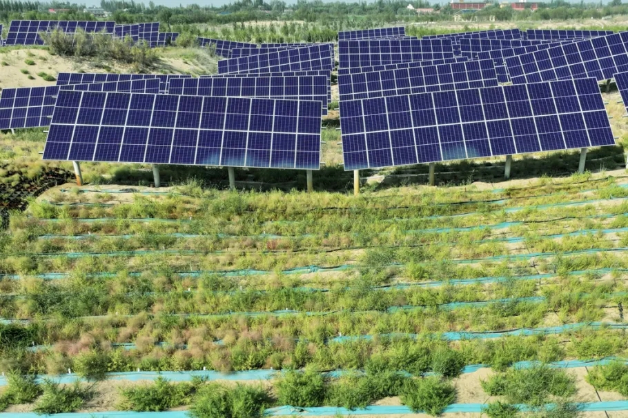 20250225/bb63fde7deab464168e17111b751b533.jpg 20250225/bb63fde7deab464168e17111b751b533.jpg