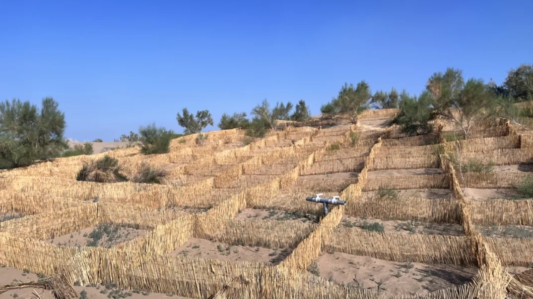 20250225/bc119d9a99d13d918df9228397b034ce.jpg 20250225/bc119d9a99d13d918df9228397b034ce.jpg