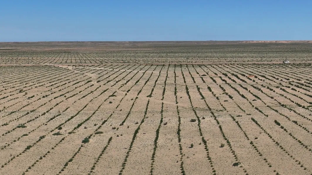 20250225/e959f042dddb49fb897a199a9e85b1c9.jpg 20250225/e959f042dddb49fb897a199a9e85b1c9.jpg