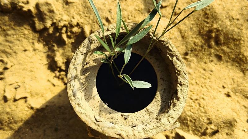 20250415/16a6f1e2ee82183c8e8aa6e062cd9250.jpg 20250415/16a6f1e2ee82183c8e8aa6e062cd9250.jpg