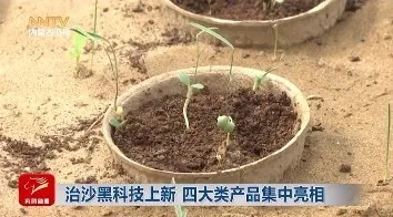 20250415/5c8ee197eb4e29c0668536e3572d6962.jpg 20250415/5c8ee197eb4e29c0668536e3572d6962.jpg