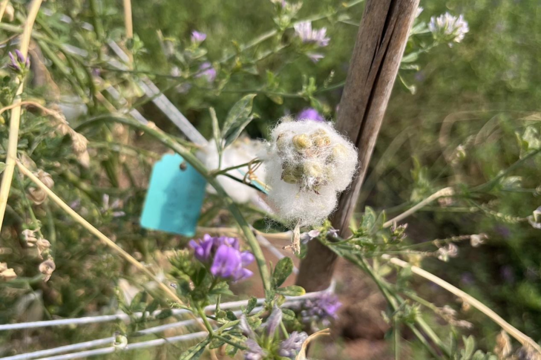 20250623/c4e27a4f3002e78b6965f8a2bd9fd285.png 20250623/c4e27a4f3002e78b6965f8a2bd9fd285.png