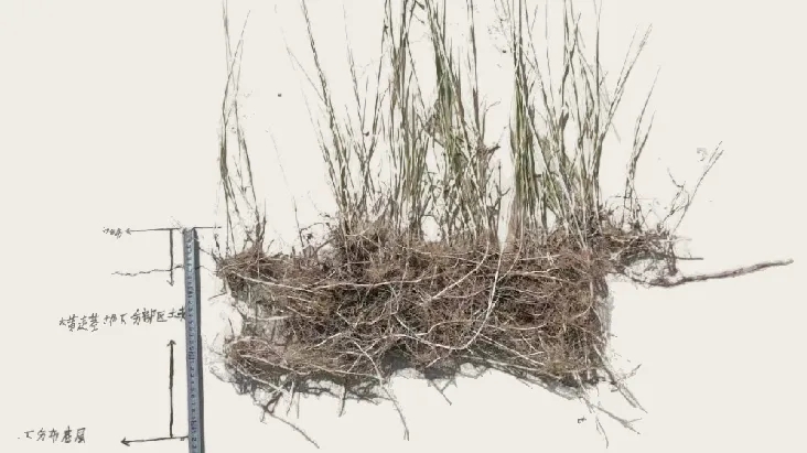 20250908/4aea73c743efc4054d12c3008aa2fd5c.jpg 20250908/4aea73c743efc4054d12c3008aa2fd5c.jpg