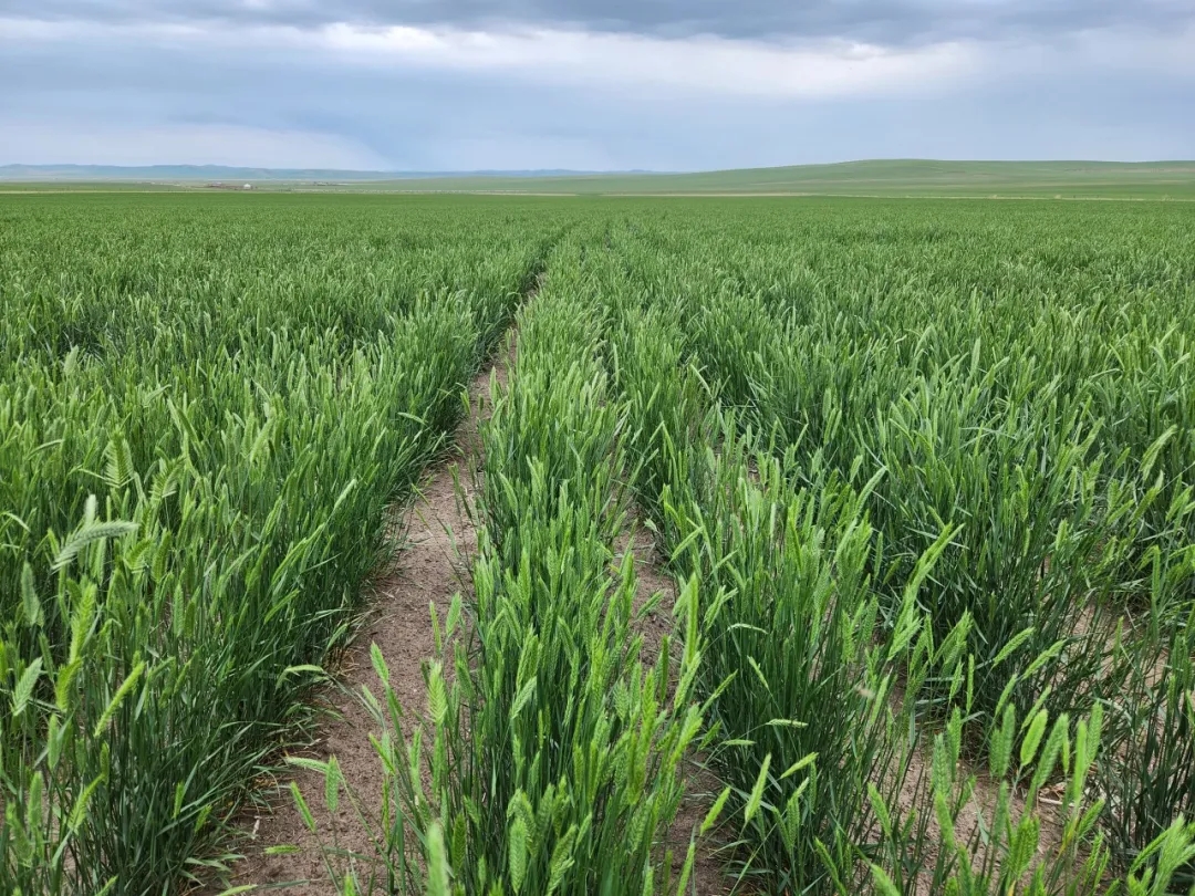 20250908/bc6538e0a17981070da14baf1ba7ba54.jpg 20250908/bc6538e0a17981070da14baf1ba7ba54.jpg